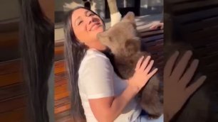 В парке Грозного медвежонок укусил девушку за подбородок