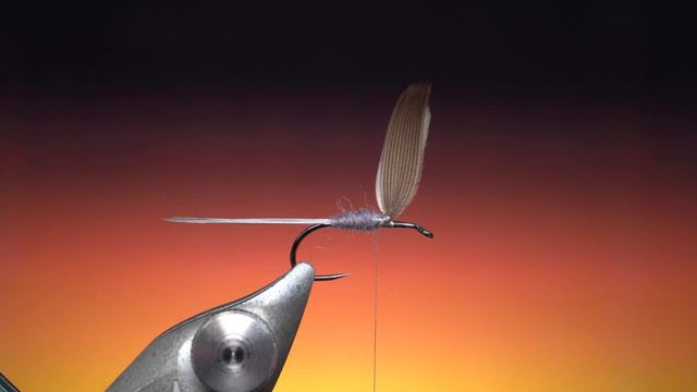 Blue Dun смотреть онлайн