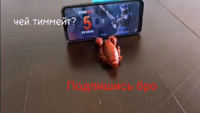 МЕМ | ЧЕЙ ТИМЕЙТ #МЕМ #standoff2 смотреть онлайн