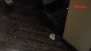 Lavor Sprinter - сетевая поломоечная машина