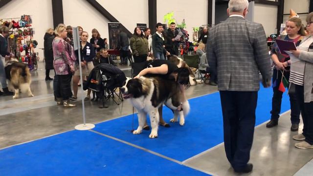 ДАНИЛА С РУССКОЙ ДУШОЙ смотреть онлайн