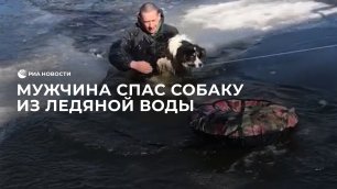 Мужчина спас собаку из ледяной воды