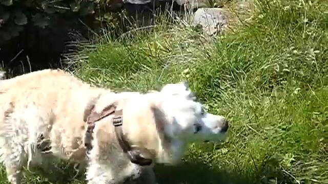 Slow motion 200fps FZ82 смотреть онлайн