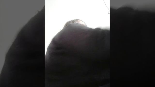 Joze Lesnicar Arr Casio Ca 110 Song 709780978907098 смотреть онлайн