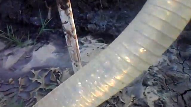 Водопонижение иглофильтрами "Рубикон" Воронежская обл. смотреть онлайн