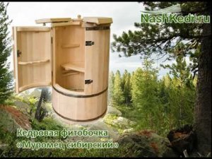 Кедровые бочки - фитобочки
