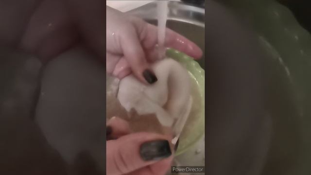 Как быстро почистить и сварить кальмары.