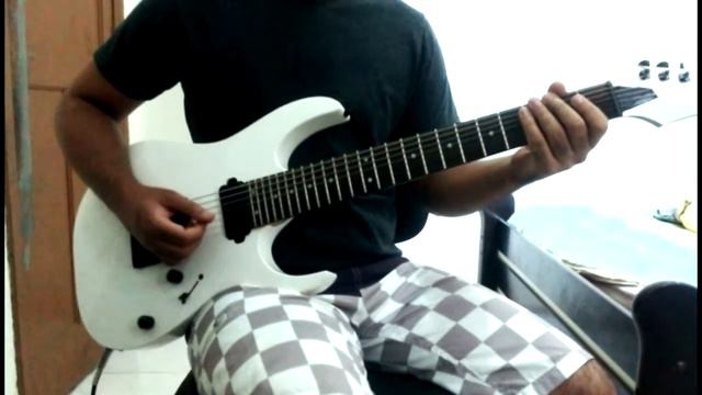 Veil of Maya - Aeris // Guitar Cover смотреть онлайн