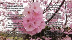 こんにちはяпонцы и японки! 
Сегодня в этом видео расскажу 
о Японских трёхстишиях
 (ほっく-хокку, はえく-хайку)