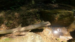 Кызылбекские водопады, село Солёное