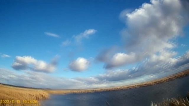 подкрались к перелетной утке 2022.охота на уток смотреть онлайн