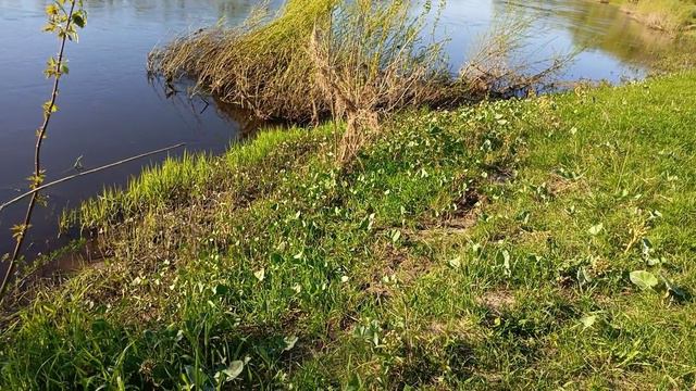 Поди туда, не знаю куда, принеси то, не знаю что