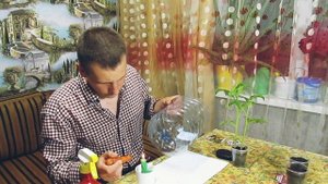 Помидоры на балконе. Как пересадить рассаду. Помидоры в квартире