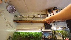 Полка для Аквариумов