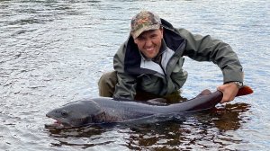 Рыболовный премиум-тур на Енисее, с вертолетной заброской на север Красноярского края.