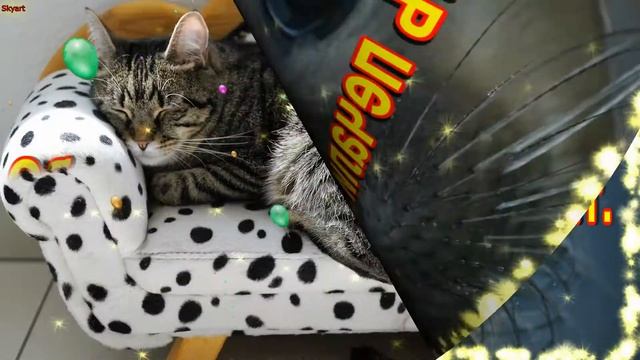 Коллеге в День Рождения! Шикарное поздравление от коллег! Новинка! Прекрасное Видео Поздравление!