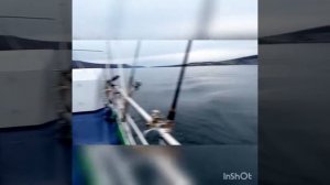 Рыбалка на фару на Байкале часть 1