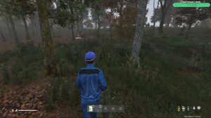 Атмосферное выживание в DAYZ и поиски машин в Дейзи