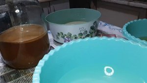 Чайный гриб