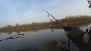 Рыбалка с Crazy Fish Perfect Jig и Relax Kopyto 2"