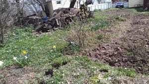 Дача  в Подмосковье 7 мая