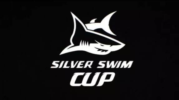 Silver Swim CUP Соревнования по плаванию для взрослых на 1000м . Плавание кролем