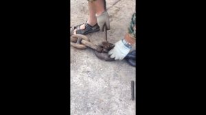 Соединение якорной цепи смычкой