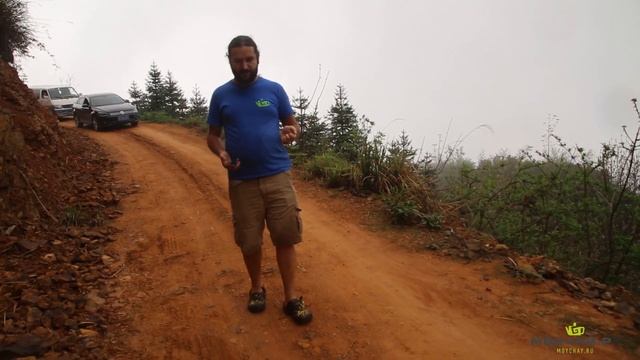 Ответы на вопросы. Вчерашний чай, вода для чая на улице и привыкание к чаю. смотреть онлайн