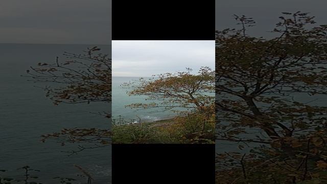 МОРЕ С ВЫСОТЫ. НАШЛИ КРАСИВОЕ МЕСТО В СОЧИ. #сочи #море #красиво #виднаморе #отмосквыдосочи