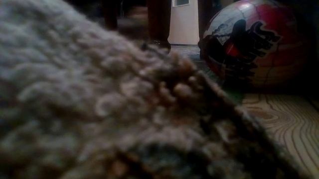 я  ставил  скрытую  камеру смотреть онлайн