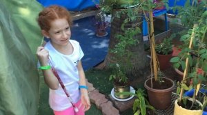 Я ВОЛШЕБНИЦА ,  пробую заклинания - превращаю предметы