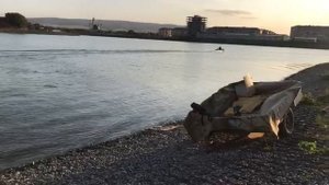 Ривьера 320 НК и мотор Сельва Наксос 15