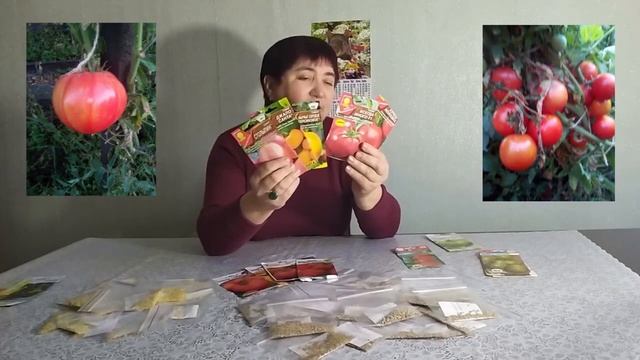 ПОДВОЖУ ИТОГИ - СОБИРАЮ СЕМЕНА смотреть онлайн