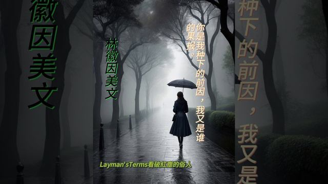 林徽因美文13 #禪語 #人生哲理 #心靈鷄湯