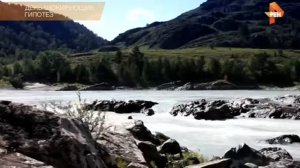 День шокирующих гипотез Часть 11