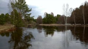 Разлив реки Гусь