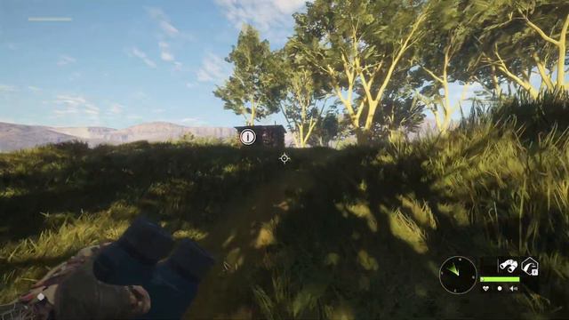 Almost vanilla Call of the Wild - Savanna Hunter Pt. 643 - Good Dream смотреть онлайн