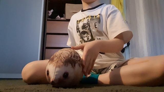 хагги вагги 1