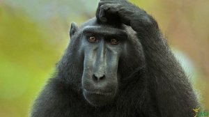 Финансовая свобода