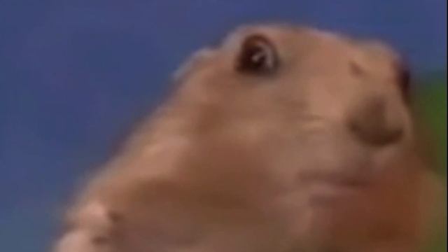 Видео интервью учителей школы №1. 2021- 2022 учебный год смотреть онлайн