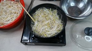 САЛАТ из проростков, проращивание Маша (бобы мунг)