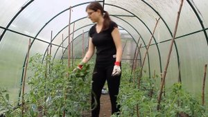 Природное земледелие: с чего лучше начать