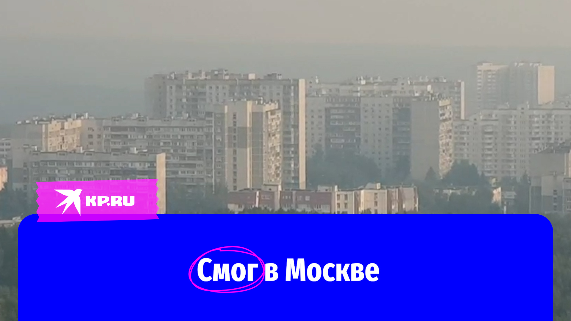 в москве дым