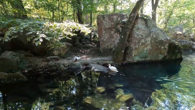 Дворцы и набережная Ялты. Отдых в Крыму - Ялта Крым сегодня. Отдых на море Путешествие по России.