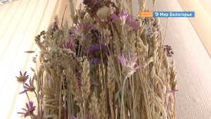 Выставка поделок из природного материала открылась в Белгороде