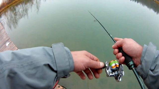 Ловля прудовой форели смотреть онлайн