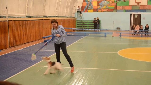 1 место, класс ветераны смотреть онлайн