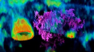 3D-микроскоп показал распространение вируса в реальном времени