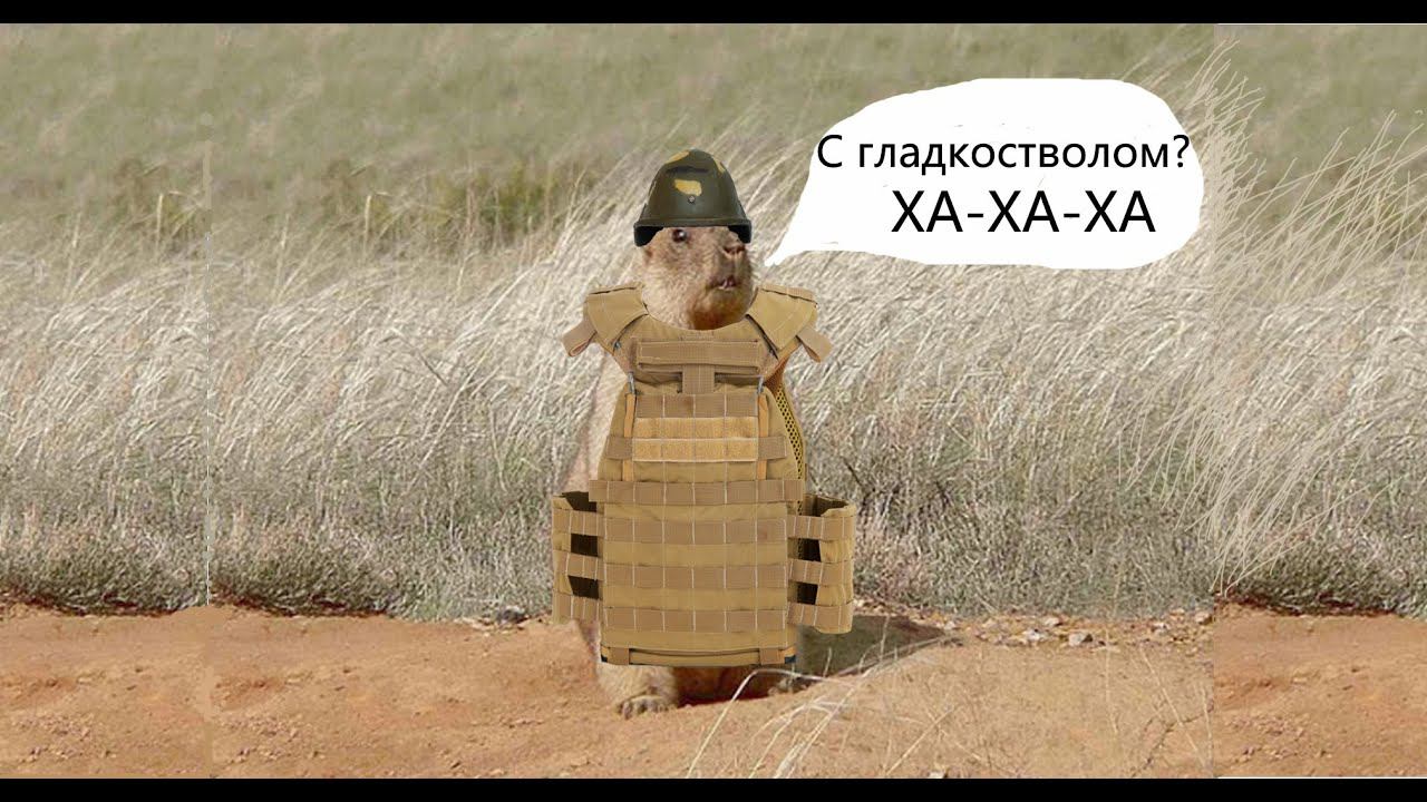 Охота на сурка байбака. Охота на сурка с гладкоствольным ружьем с засидки.