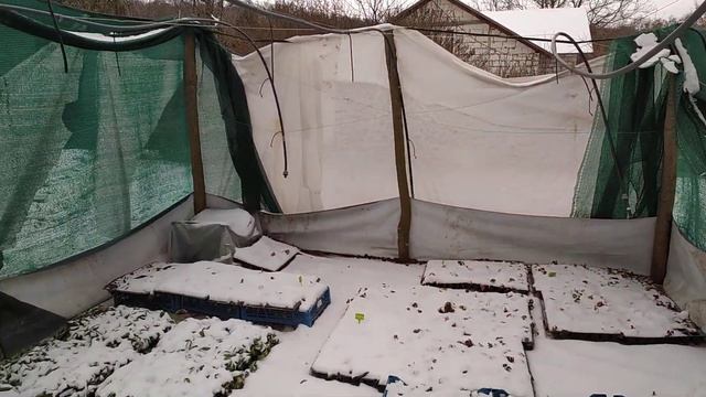 Как хранить кассетную рассаду до весны?7 декабря 2022 г.